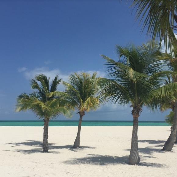 Meet your Posher, Kim - Picture 1 of 1